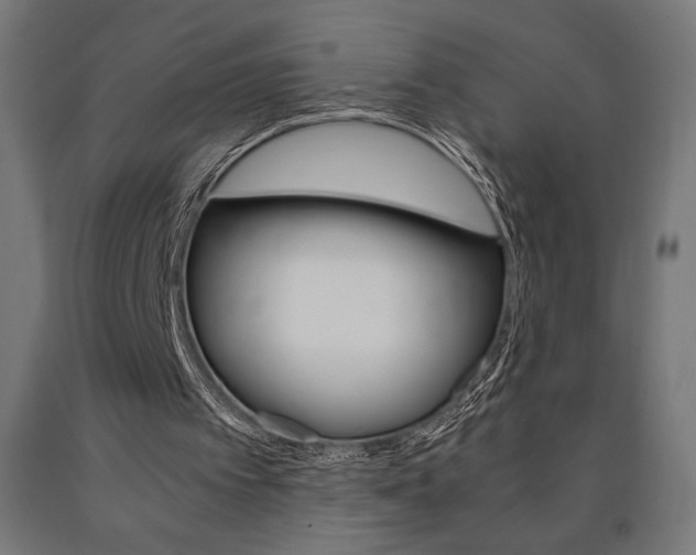 X0000091010097200708021415