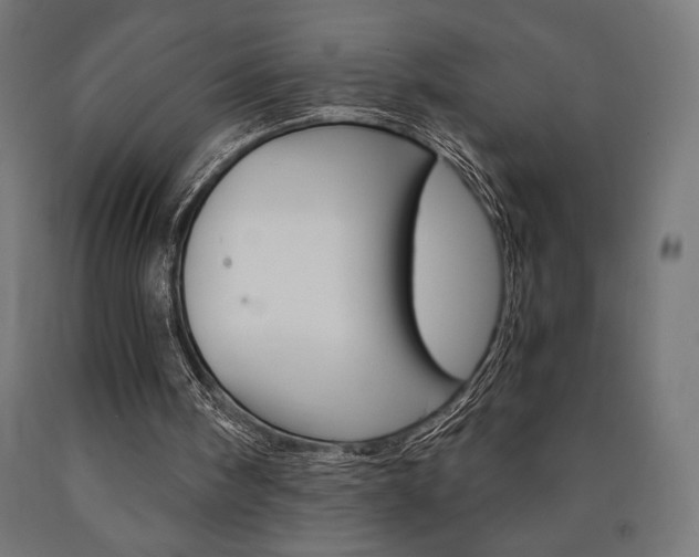 X0000091010098200708021415