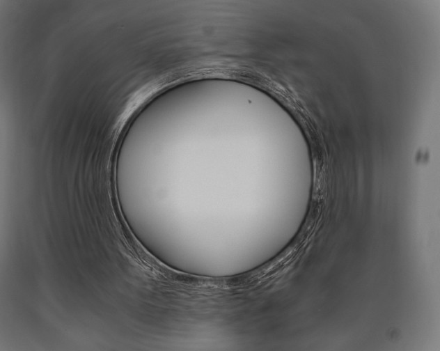 X0000091010099200708021415