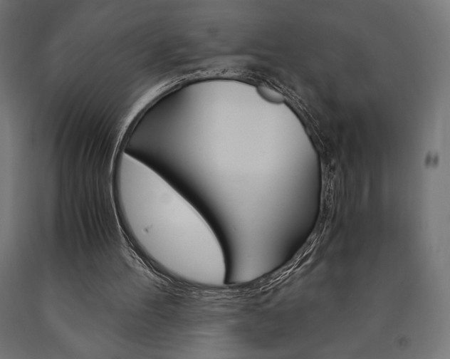 X0000091010100200708021415