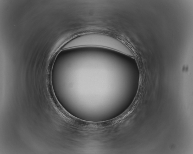 X0000091010101200708021415