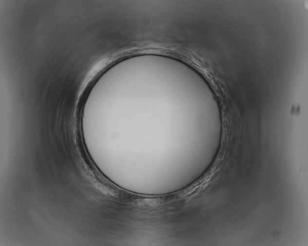 X0000091010102200708021415