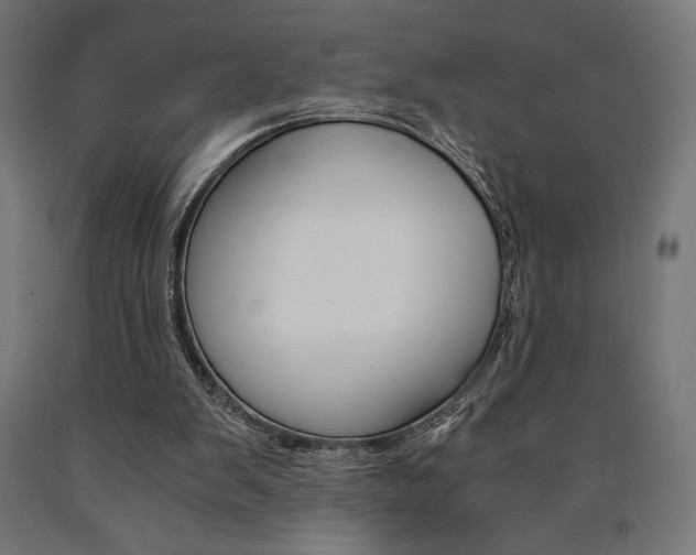 X0000091010103200708021415