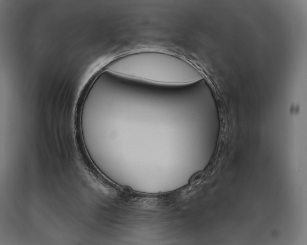 X0000091010104200708021415