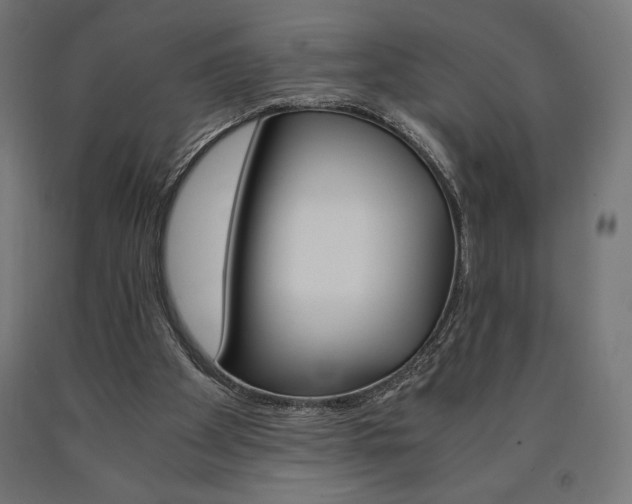 X0000091010105200708021415