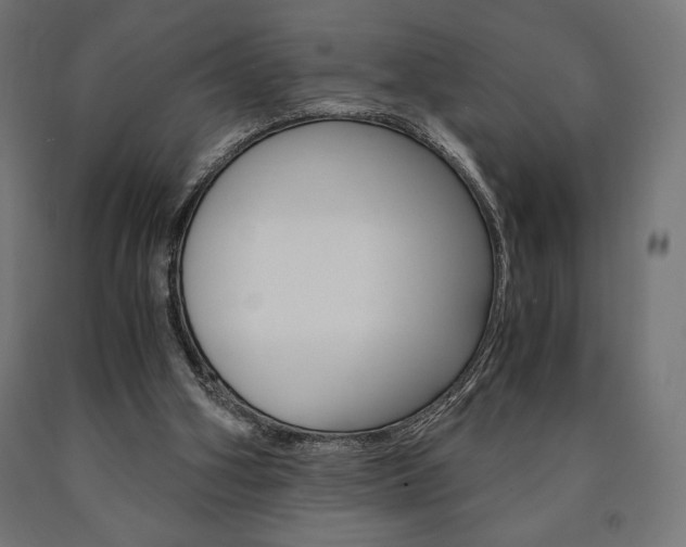 X0000091010106200708021415