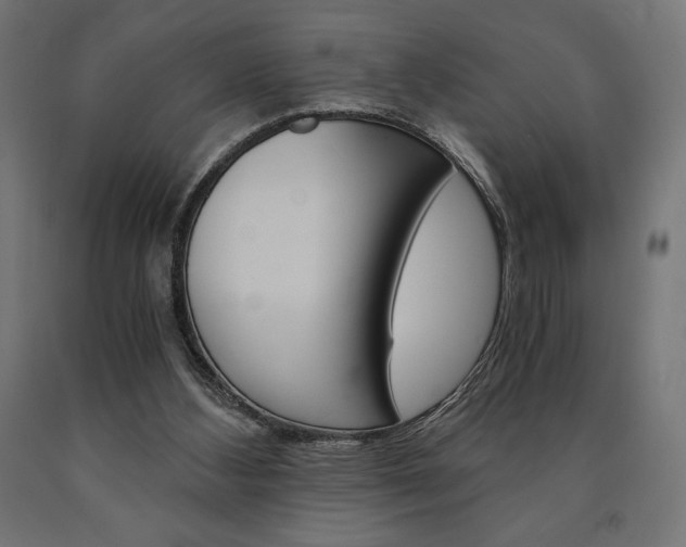 X0000091010108200708021414