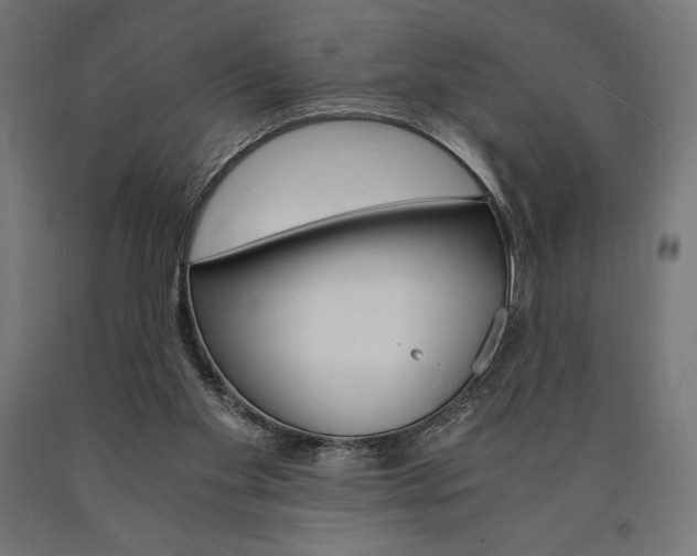 X0000091010109200708021414
