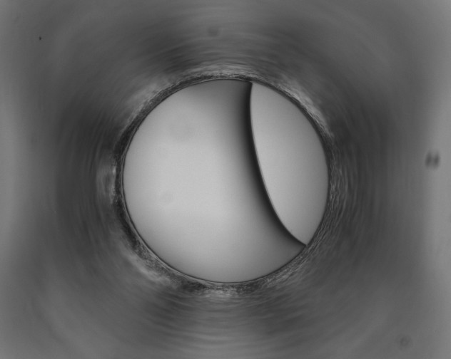 X0000091010110200708021414