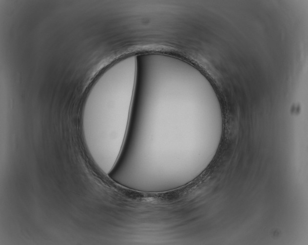 X0000091010111200708021414