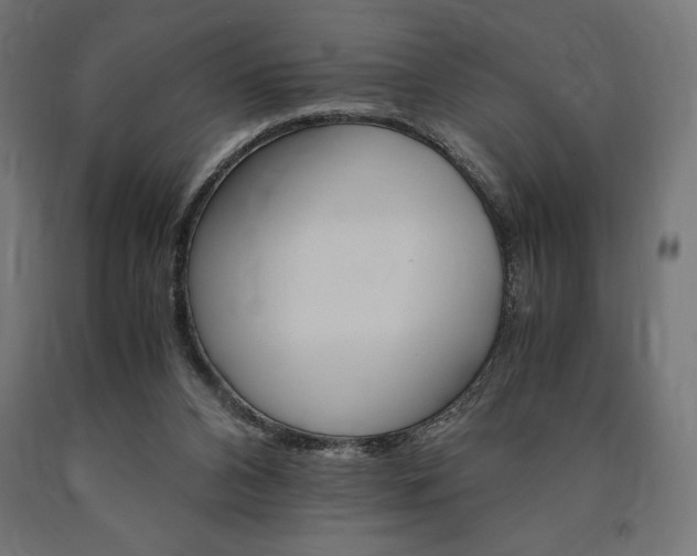 X0000091010112200708021414
