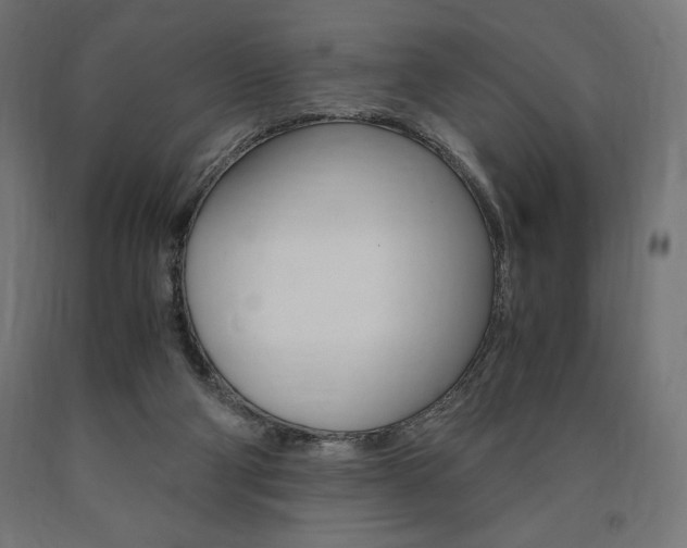 X0000091010114200708021414