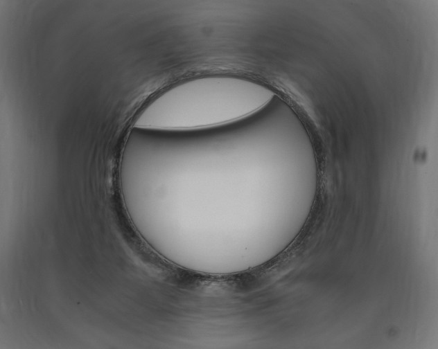X0000091010115200708021414