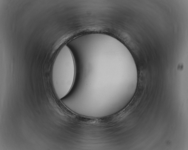 X0000091010116200708021414