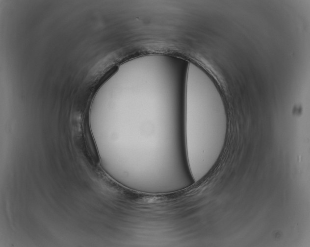 X0000091010117200708021414