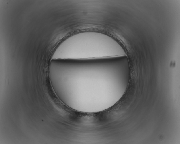 X0000091010119200708021414