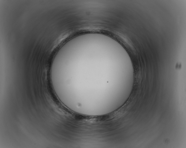 X0000091010120200708021414