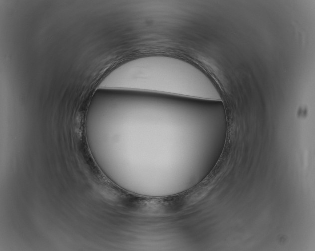 X0000091010121200708021414