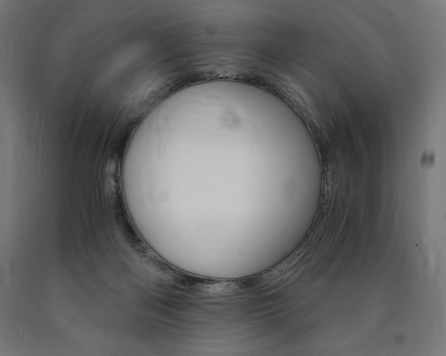 X0000091010122200708021414