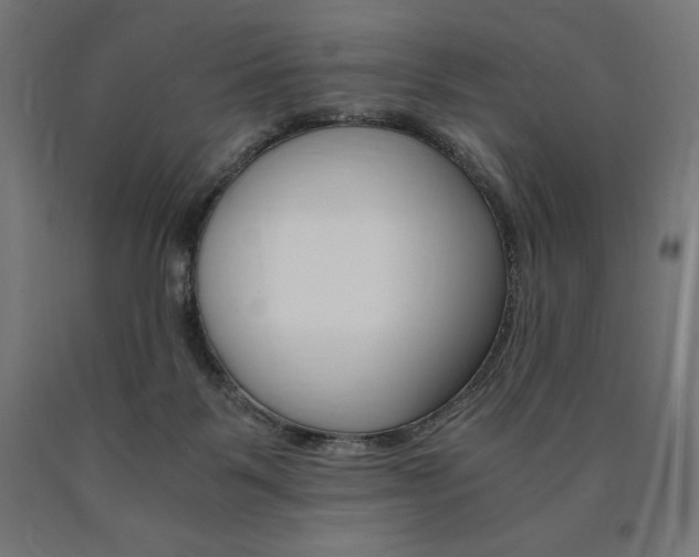 X0000091010123200708021414