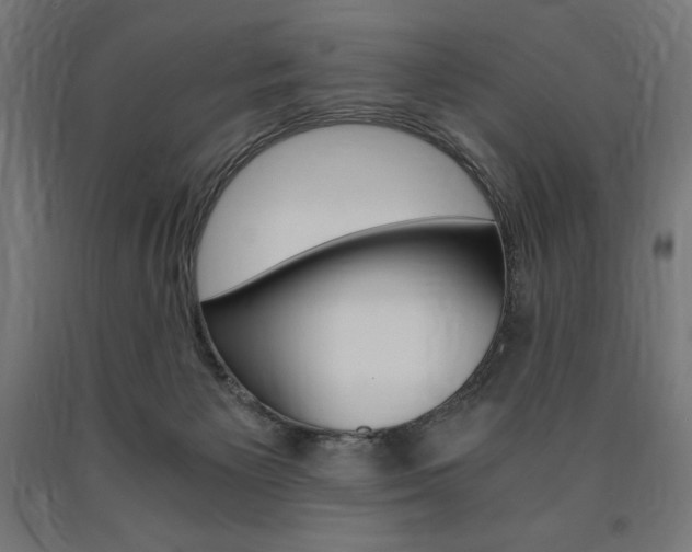 X0000091010125200708021414