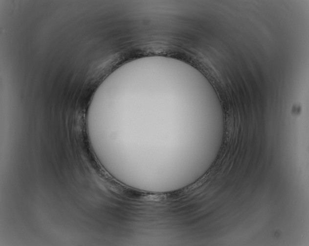 X0000091010126200708021414