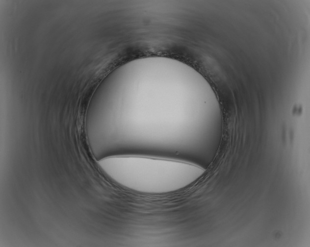 X0000091010129200708021414