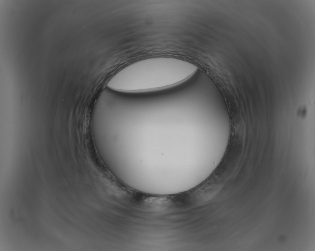 X0000091010133200708021414