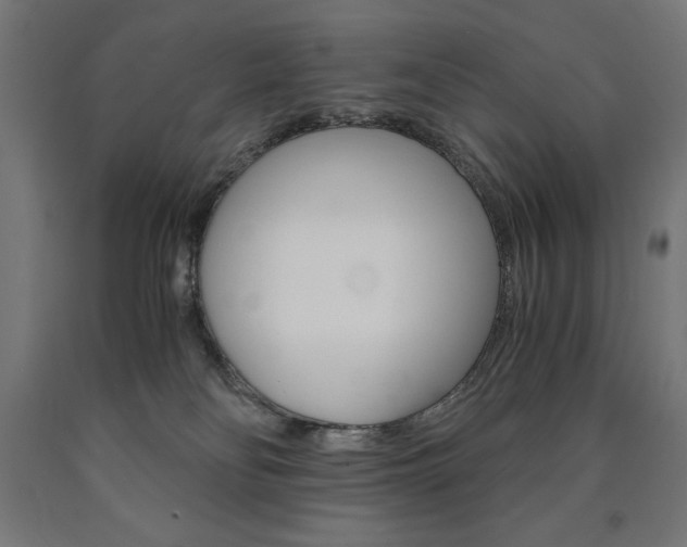 X0000091010134200708021414
