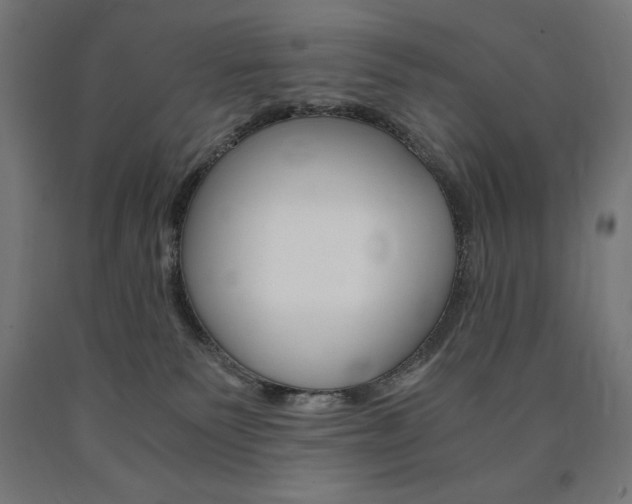 X0000091010135200708021414