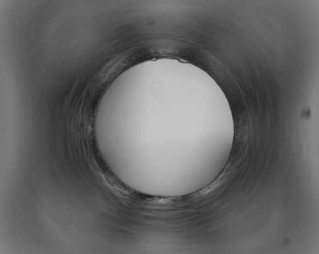 X0000091010140200708021414
