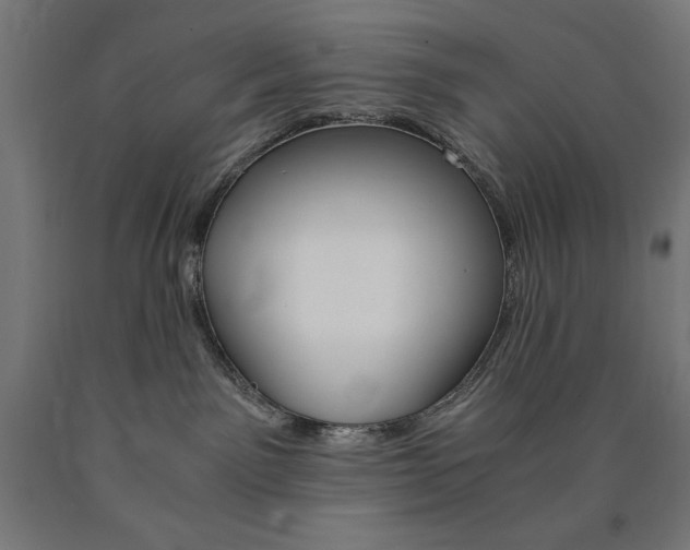 X0000091010141200708021414
