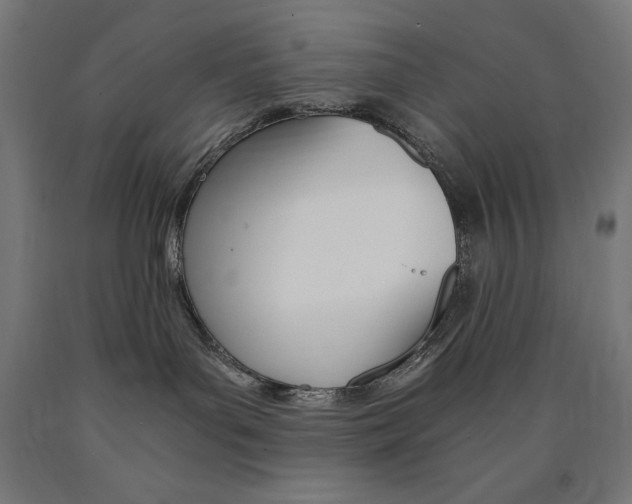 X0000091010143200708021414