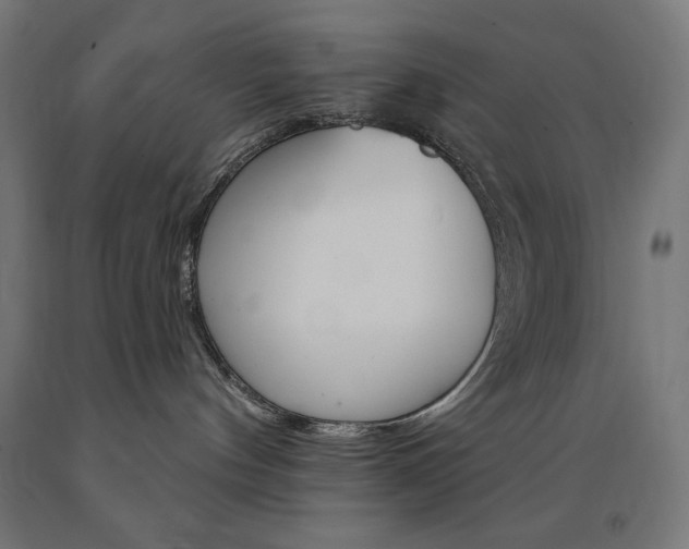 X0000091010144200708021414