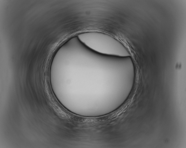 X0000091010145200708021413