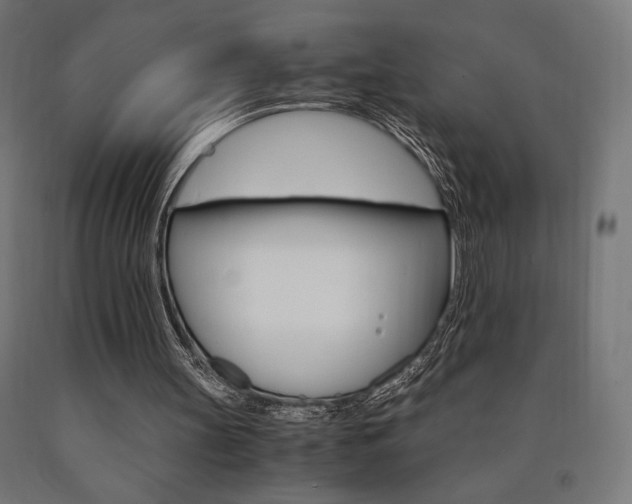 X0000091010147200708021413