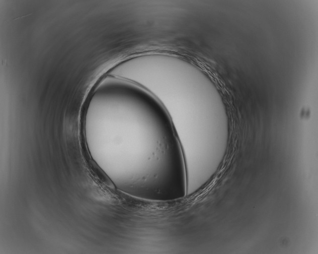 X0000091010148200708021413