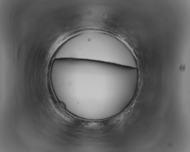 X0000091010151200708021413