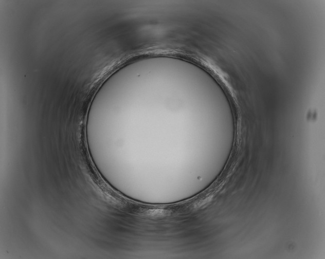 X0000091010153200708021414
