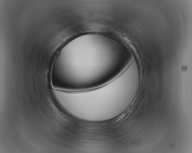 X0000091010154200708021414