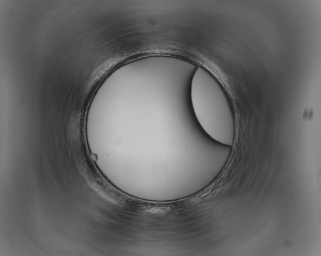 X0000091010155200708021414