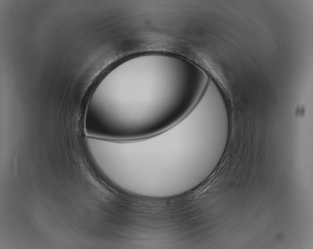 X0000091010156200708021414
