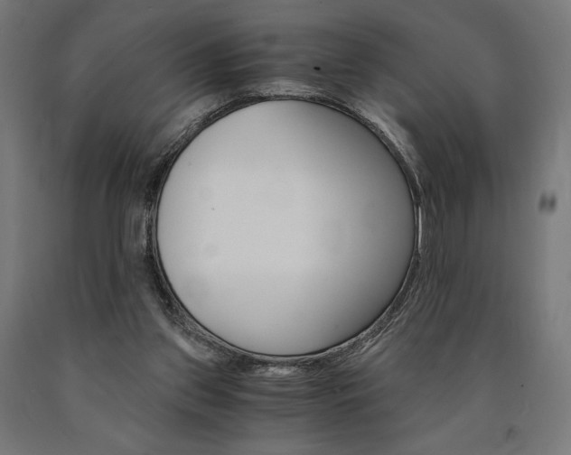X0000091010157200708021414