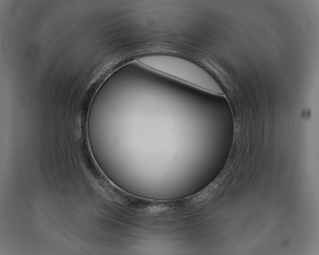 X0000091010158200708021414