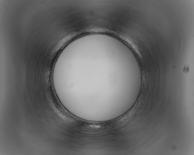 X0000091010159200708021414