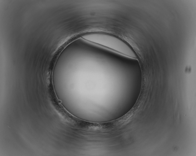 X0000091010160200708021414