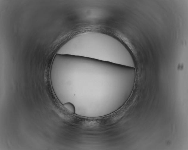 X0000091010161200708021414