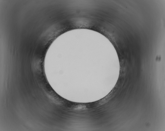 X0000091010162200708021414