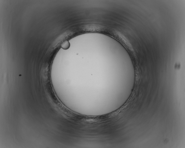 X0000091010163200708021414