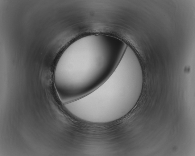 X0000091010164200708021414